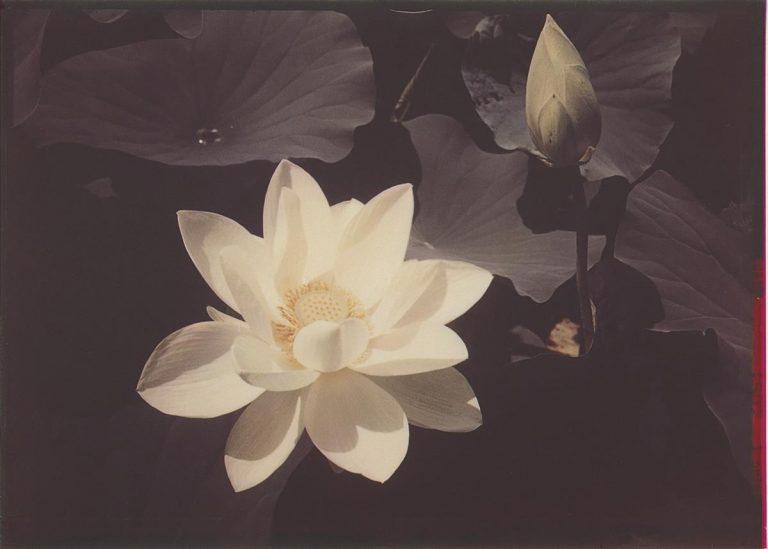 unnamed image